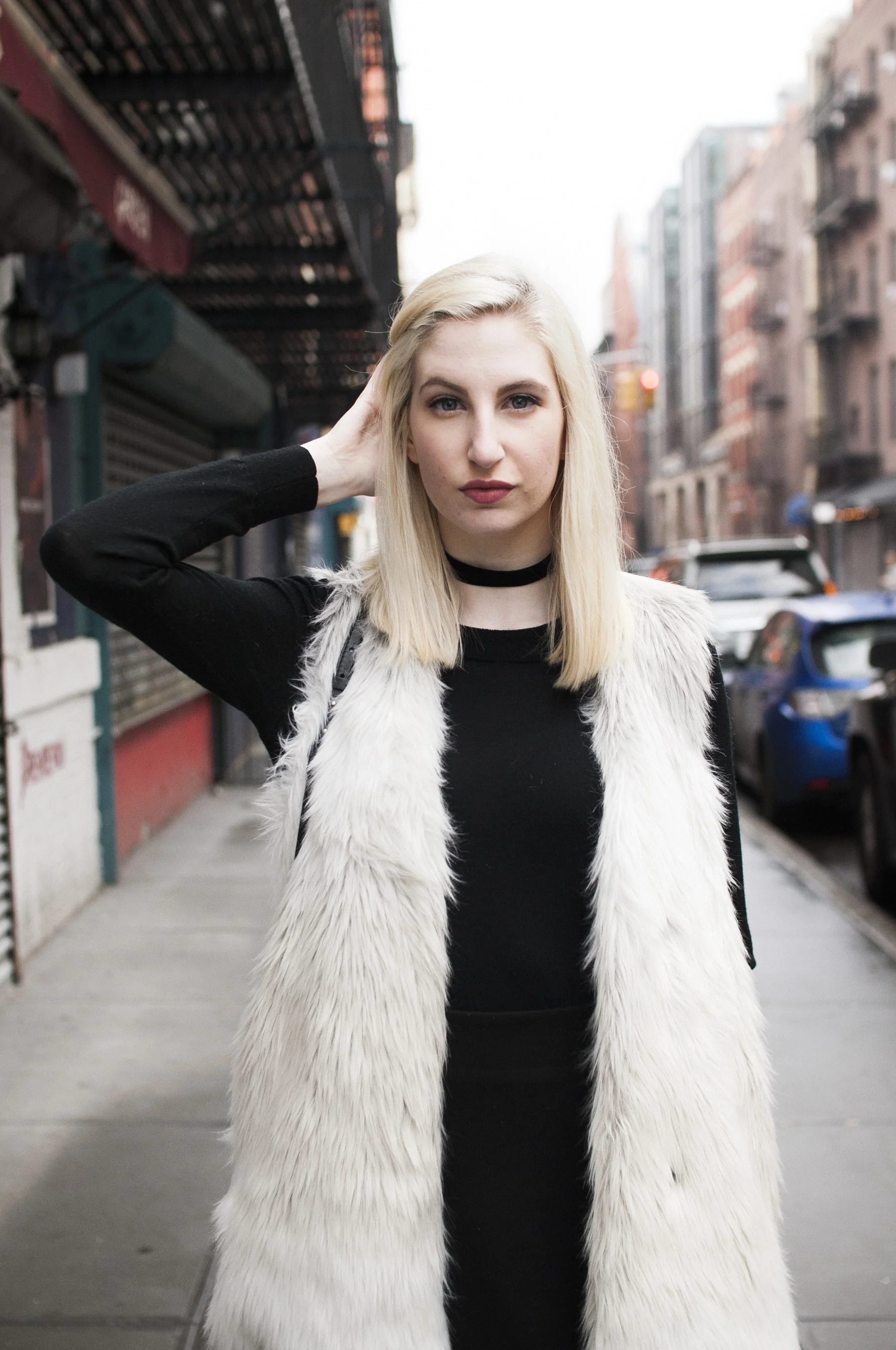 Arctic Fox Southern New Yorker